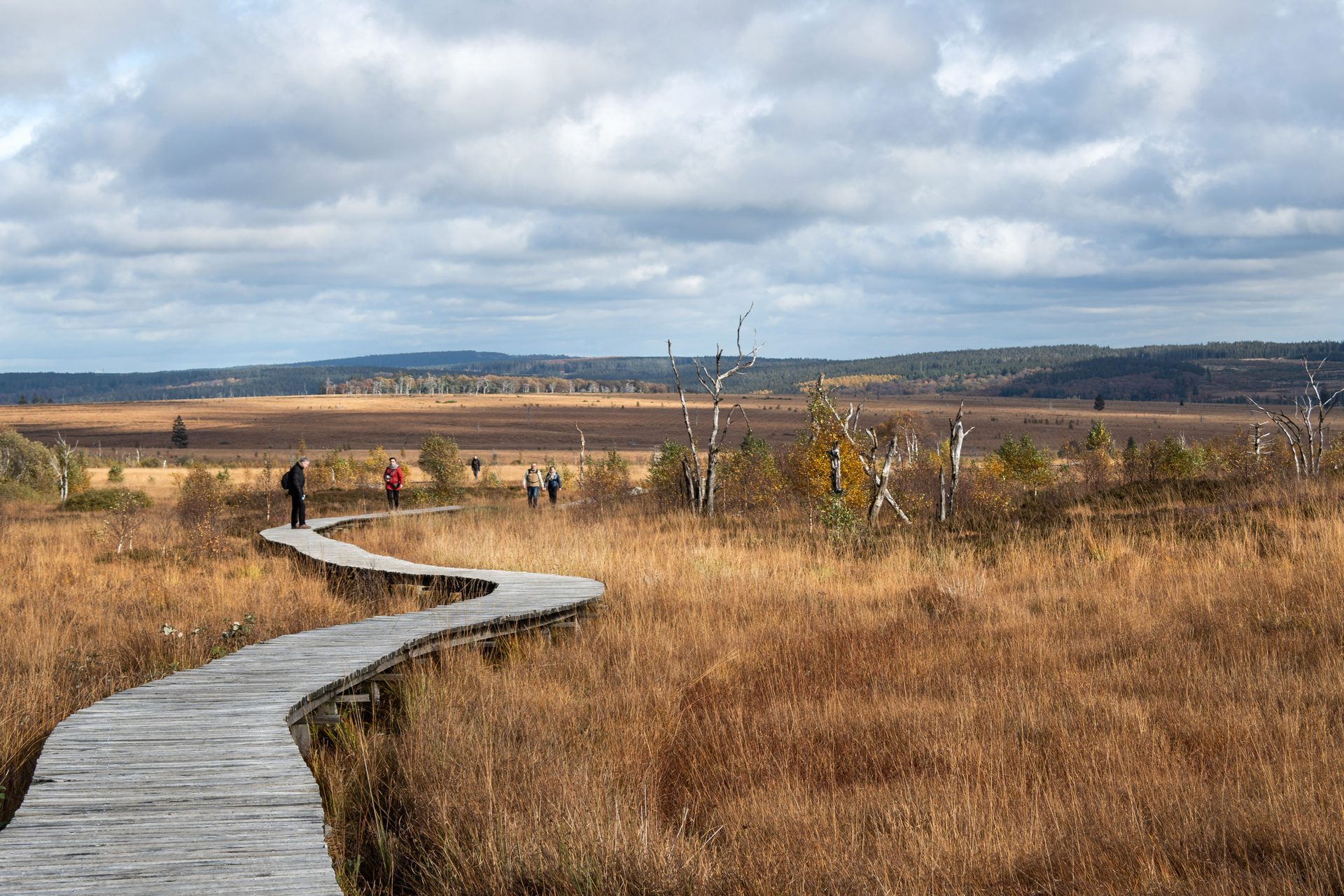 The Fagnes