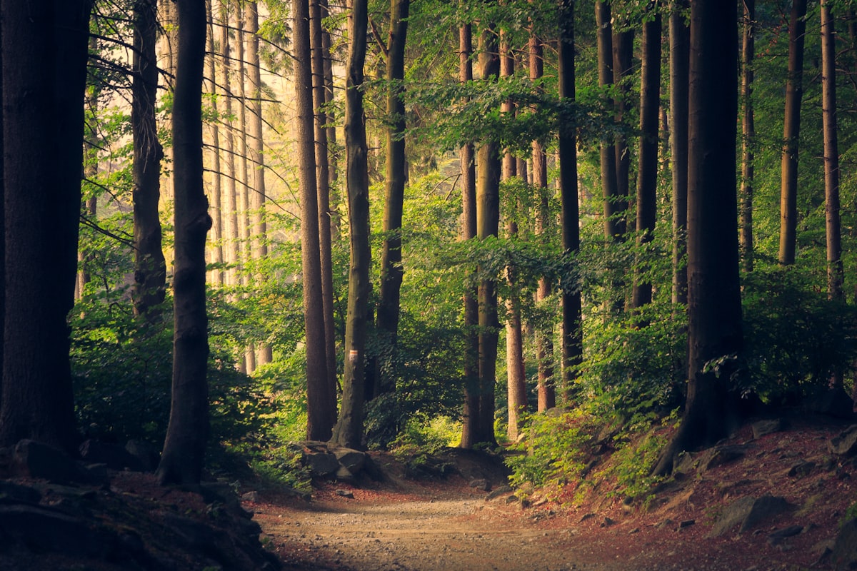 Parc Naturel des Sources
