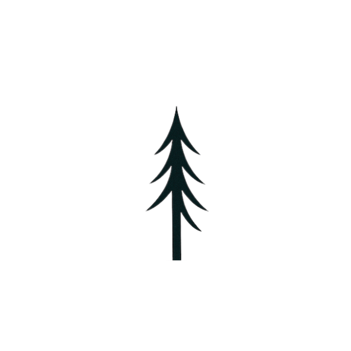 The View — Árbol