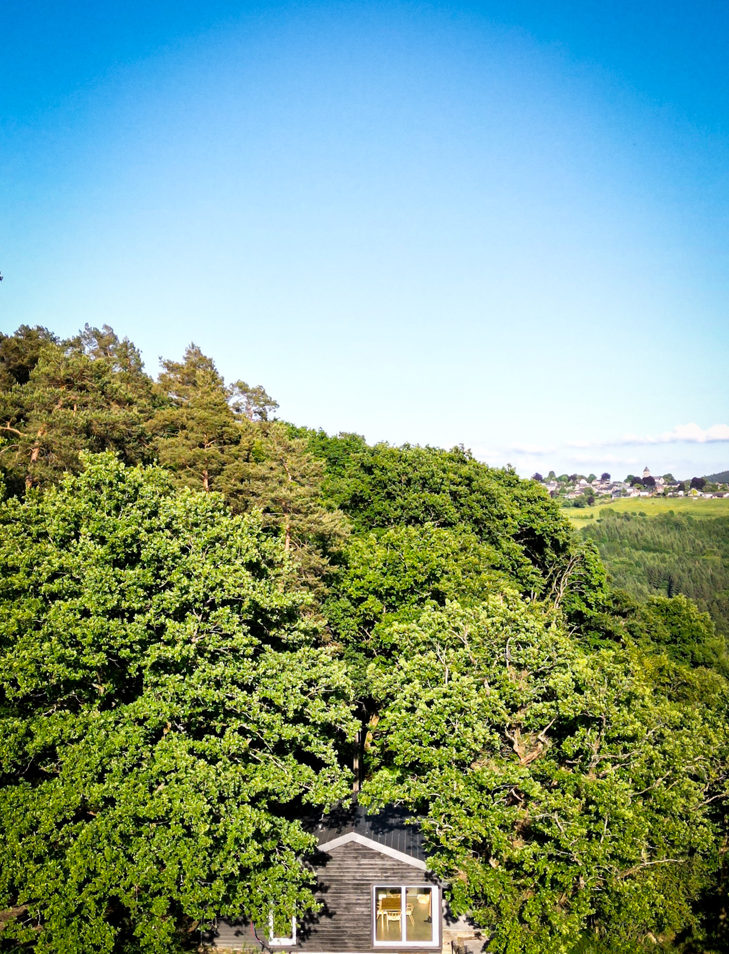 Aerial view of lodge surrounded by trees