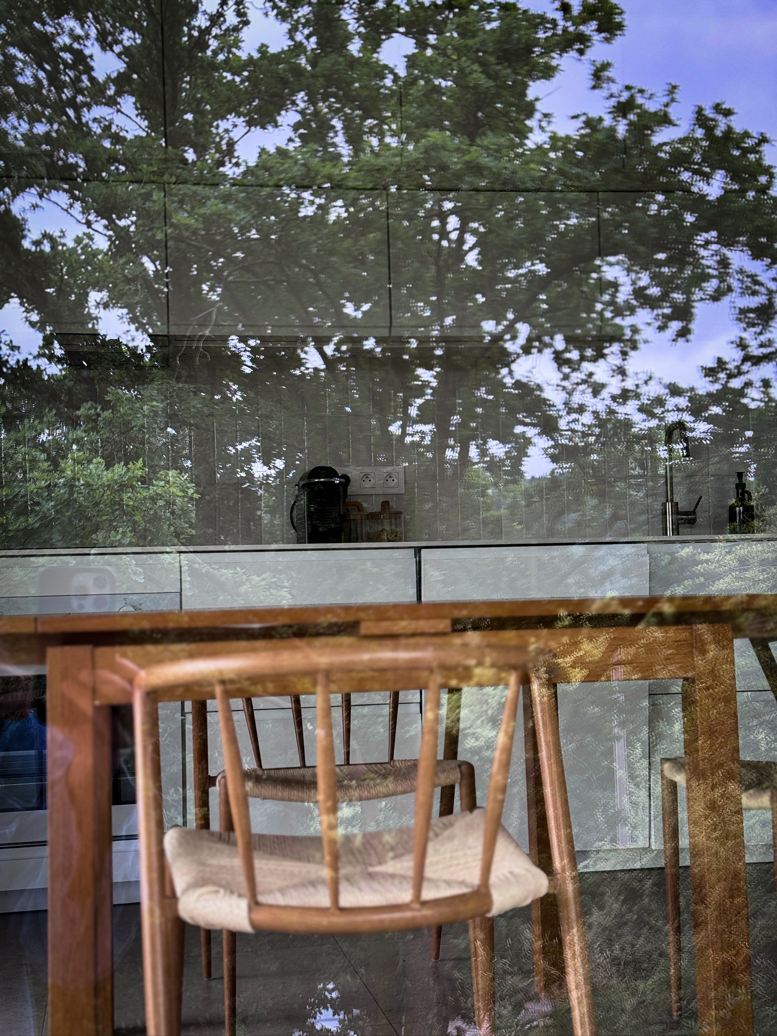 Dining chair with reflection
