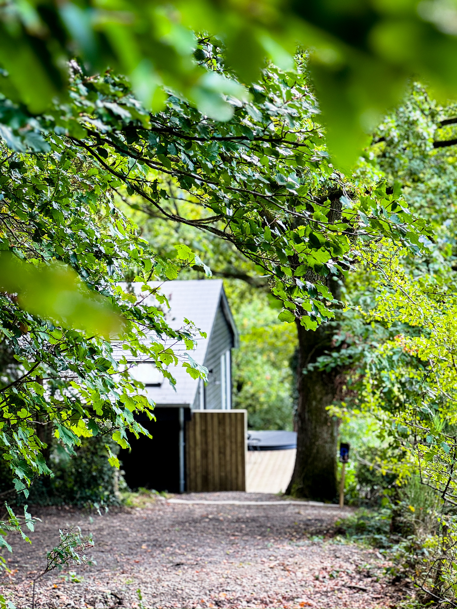 gallery.images.entrance