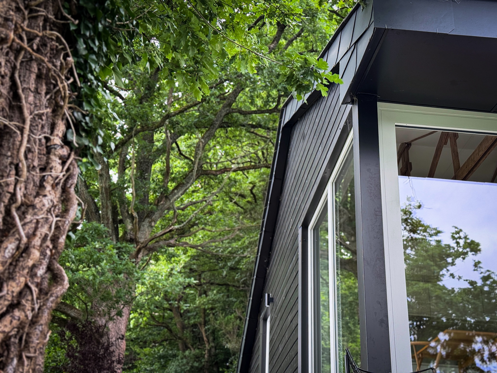 Exterior corner with trees