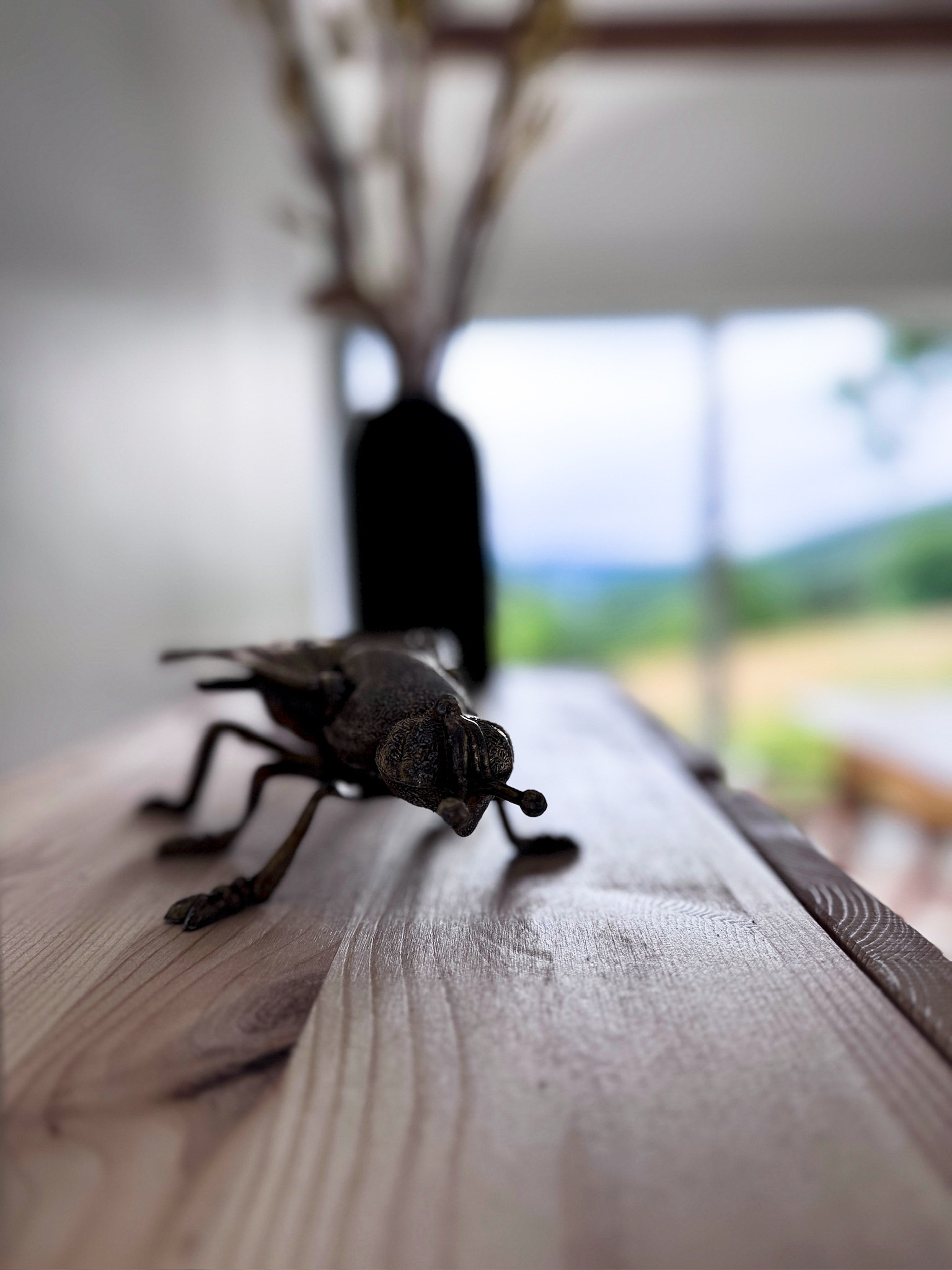 Decorative insect detail
